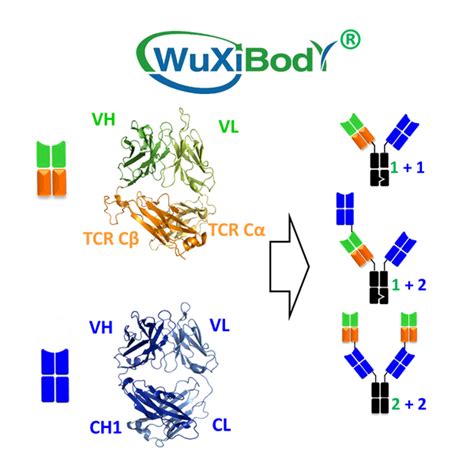药明生物 的图像结果