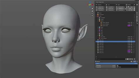 Image result for Blender Shape Key Control