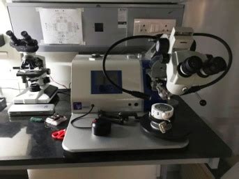Raman Research Group