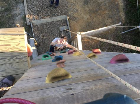 Forest Adventure 的图像结果