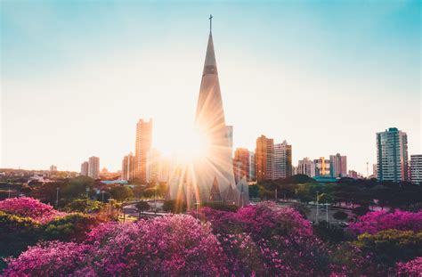 Maringá e Londrina estão entre as cidades mais arborizadas do Brasil