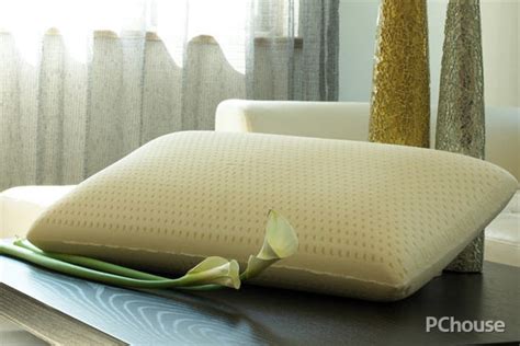 磁疗枕头一般多少钱_磁疗枕头品牌哪个好 - 装修保障网