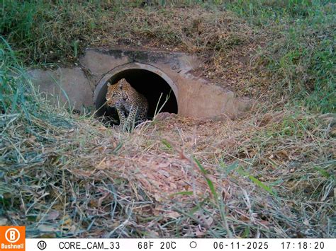 Research Program 的图像结果