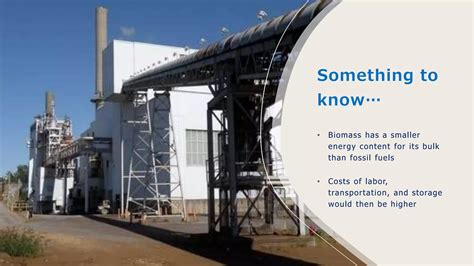 Bioenergy 的图像结果