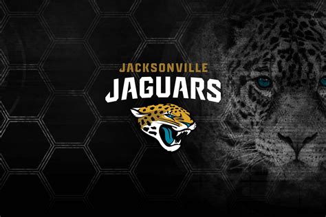 [100+] Jaguars Wallpapers | Wallpapers.com