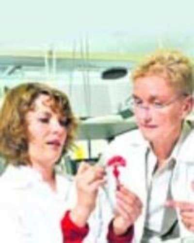 Model livers to replace lab rats