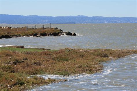 Pictures of Hayward Regional Shoreline