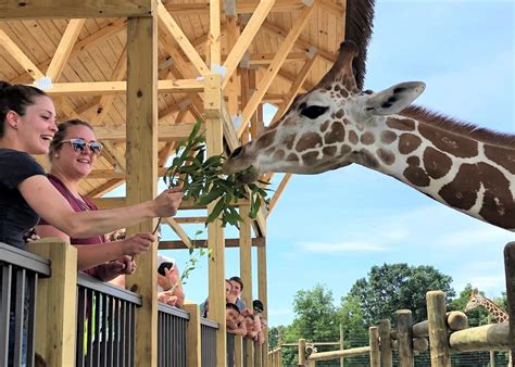 Lake Tobias Wildlife Park