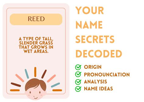 Reed - Boy Name Meaning and Pronunciation