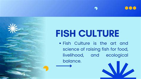 Phases of Fish Culture and Classification of its Habitat.pdf