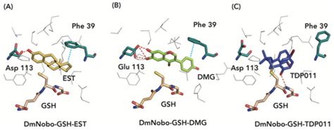 Compounds Inhibiting Noppera-bo, a Glutathione S-transferase Involved ...