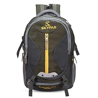 Buy SKYPAR comfort Laptop Bag,Business Anti Theft Backpack/College ...