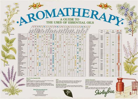 aromatherapy