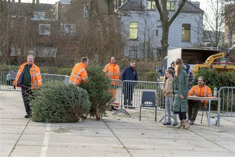 Kerstboominzameling van start in Alblasserdam; elke kerstboom 50 cent ...