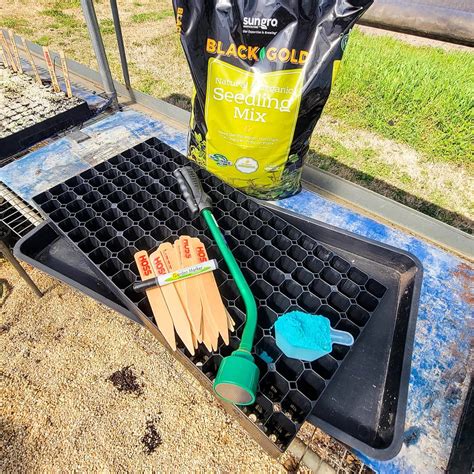 Seedlings Seed Starting Kits