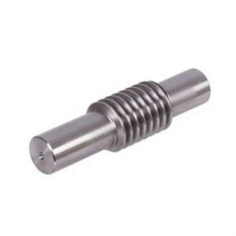 Worm Shaft - 20mm SS Worm Shaft Manufacturer from Ahmedabad