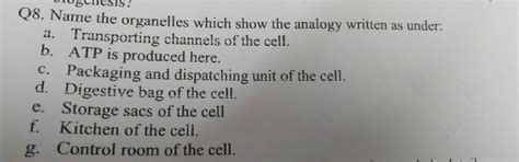 name the organelles which show the analogy written as under - Brainly.in