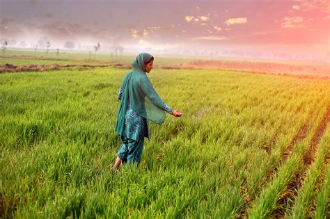 Rupee Depreciation Against Dollar Worsens India's Fertiliser Crisis