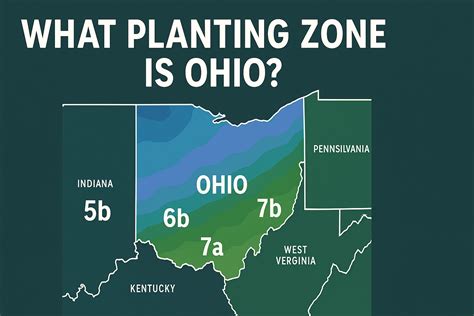 What Planting Zone is Ohio? Full USDA Map & Tips