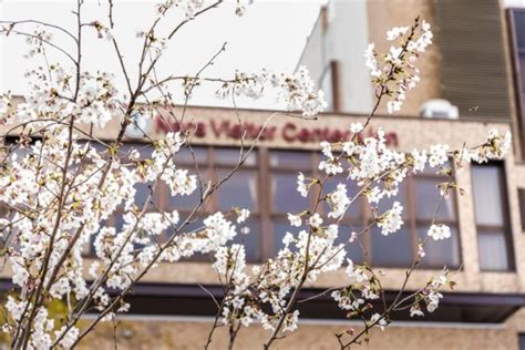 Hotspots für Anime-Touristen 2019 vorgestellt