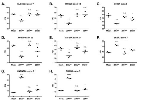 Asian Zika Virus Isolate Significantly Changes the Transcriptional ...