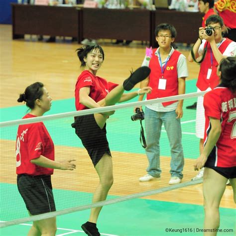 Chinese ShuttleCock 的图像结果