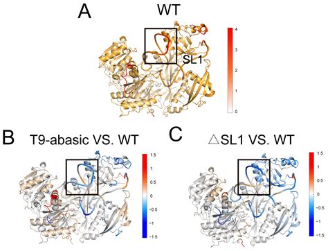 Mechanistic Insights into the Protection Effect of Argonaute–RNA ...