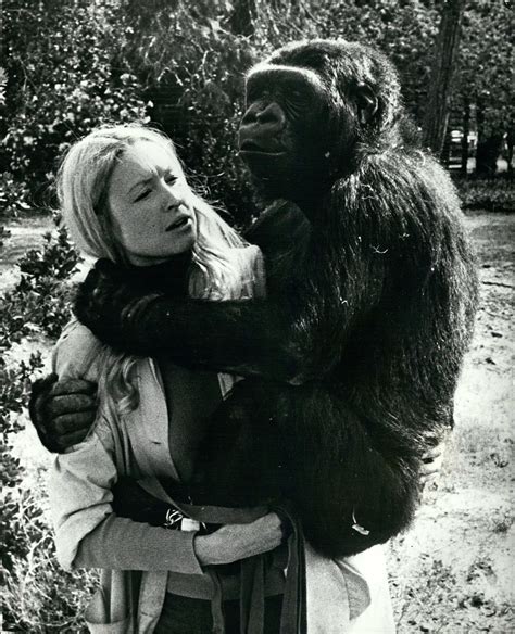Koko, the gorilla who became famous for her sign language skills, has ...