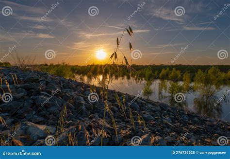 Grass with Seeds Sticking Out of Rocks on Levee at Sunset Stock Photo ...