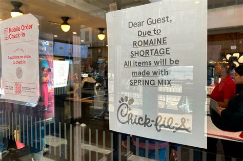 How Much Does Olive Garden Cost For 2 at Bianca Agnes blog