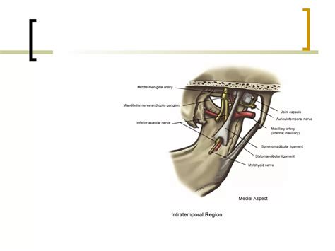 Local Anesthesia Injection 的图像结果