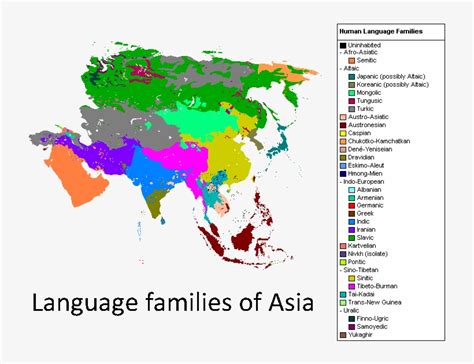 Asian Language 的图像结果