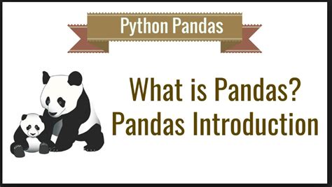 Image result for Python MIT Pandas