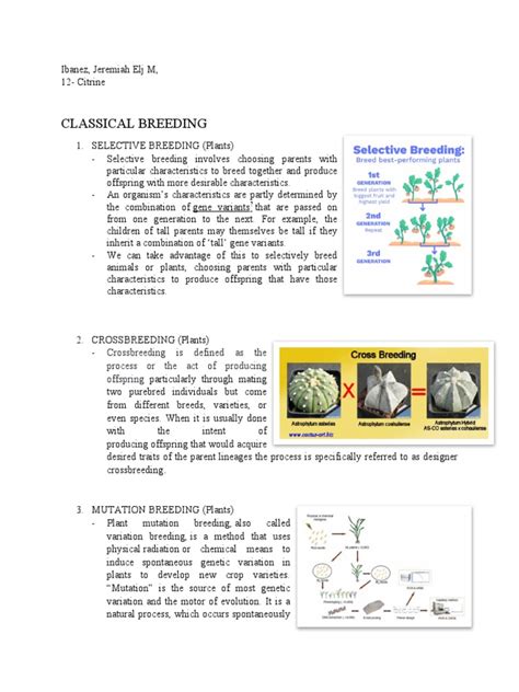 Recombinant DNA Examples 的图像结果