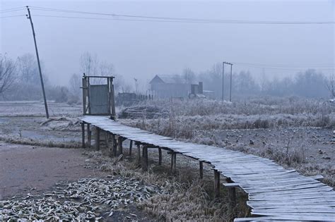 Minimum Temperature Improves In J&K And Ladakh - Daily Excelsior