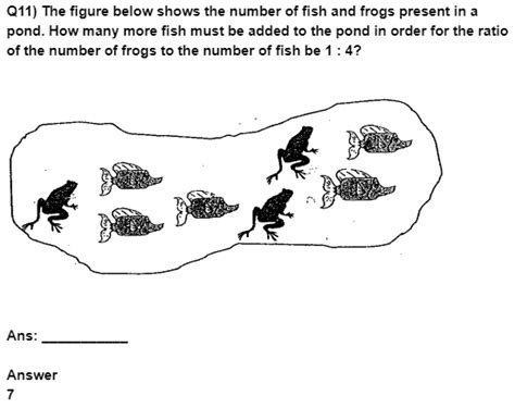 Class 6 NSO Sample question paper | Olympiad tester