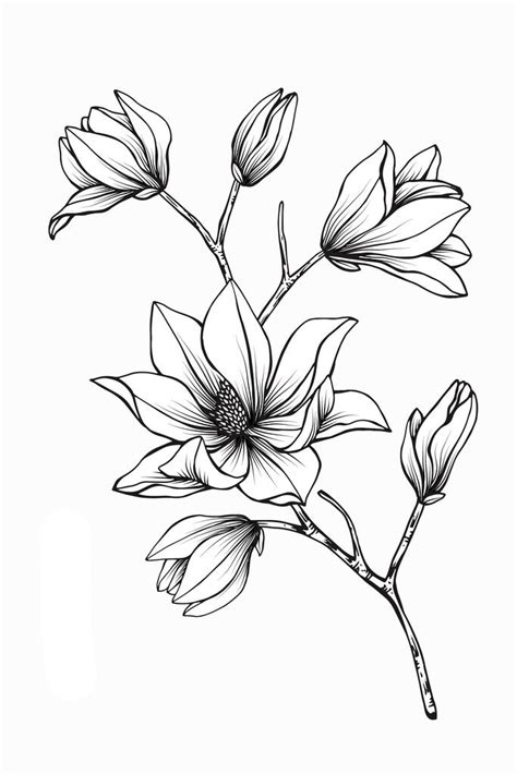 easy flowers to draw for beginners