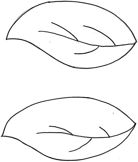 Leaf Template for Crafting
