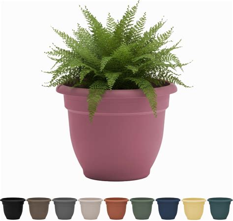 Amazon.com : Bloem Ariana 6" Self-Watering Plastic Planter - Rolled Rim ...