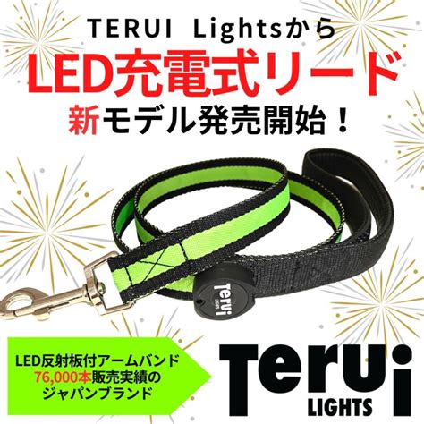 TERUI lights 光るリード