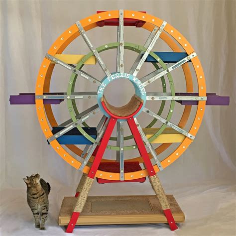 Kitty Wheel 的图像结果
