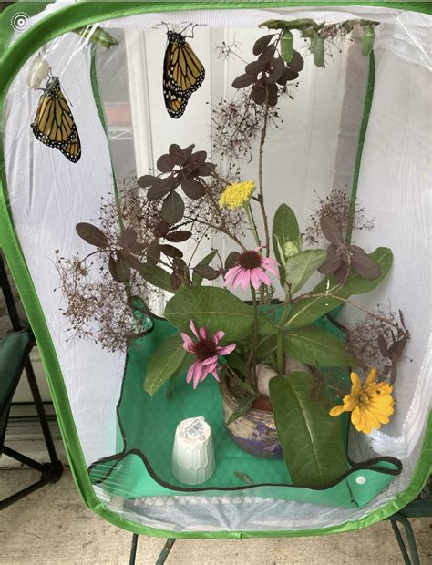 Beary Special Notes: Monday, 6/19/23, We finished packing, Vikki ...