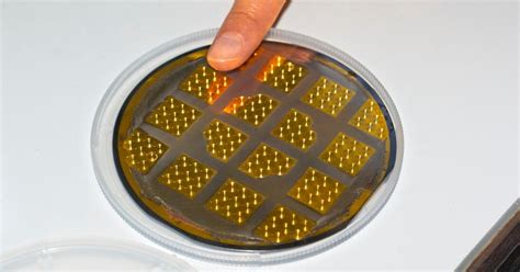 Image result for Balance Springwatch