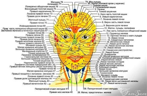 Точки – Artofit