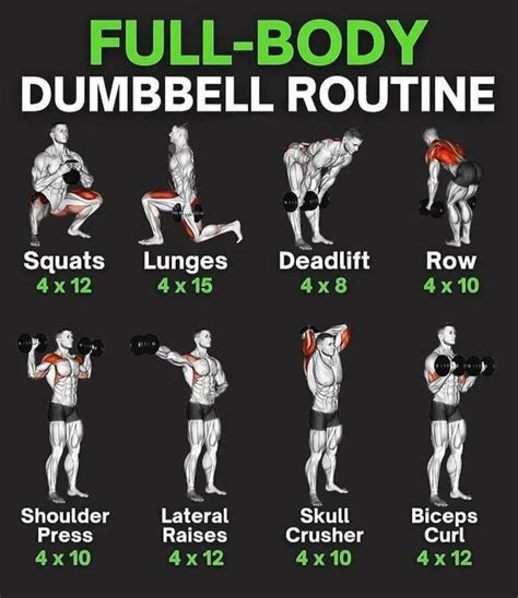 Dumbbells Routine Workout | Dumbbell workout, Full body dumbbell ...