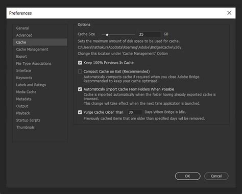 Work with the Adobe Bridge cache