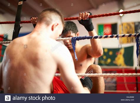Boxing Sparring Partner 的图像结果