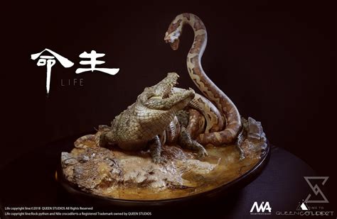 Image result for Crocodile vs Python Wild Battle