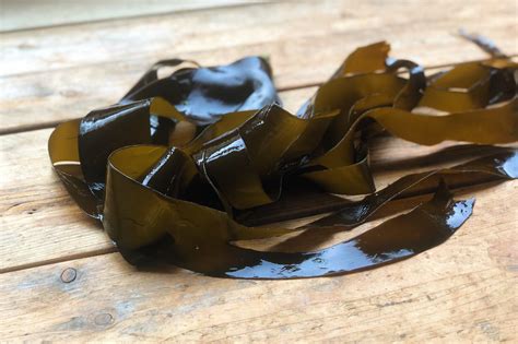 Kombu Seaweed Benefits