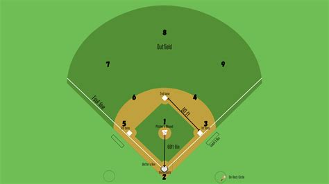 What Are The Baseball Position Numbers? And Who Uses Them?